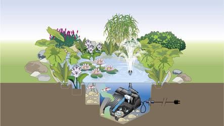 Afbeelding met schermopname, plant, tekenfilm, AnimatieAutomatisch gegenereerde beschrijving