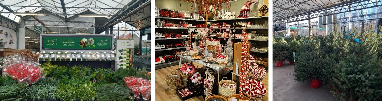 Kerst in Dendermonde bij Tuincenter Vincent