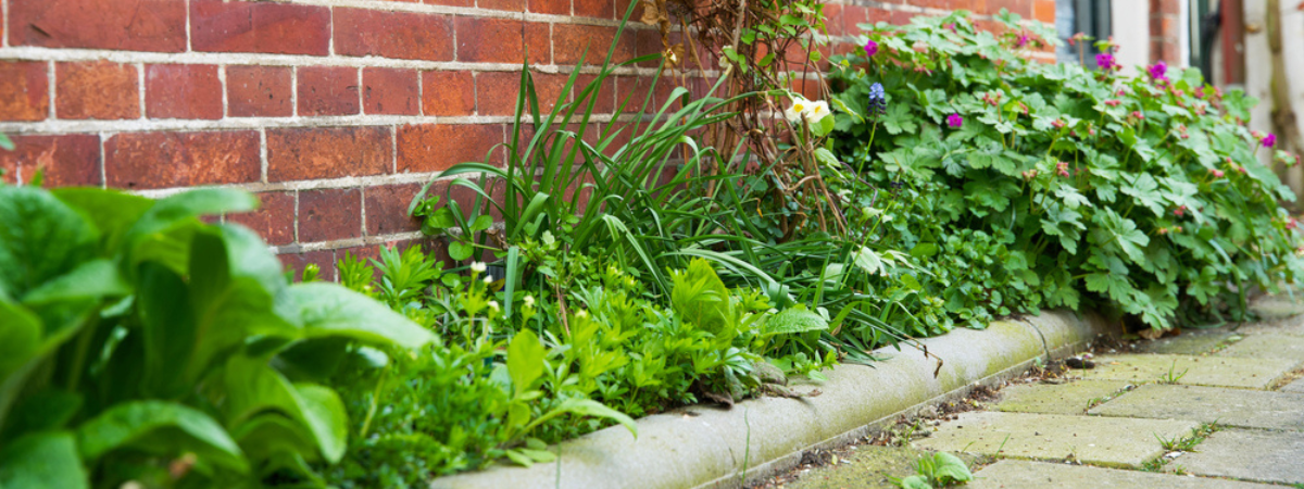 Minder tegels in de tuin - De voordelen van meer groen