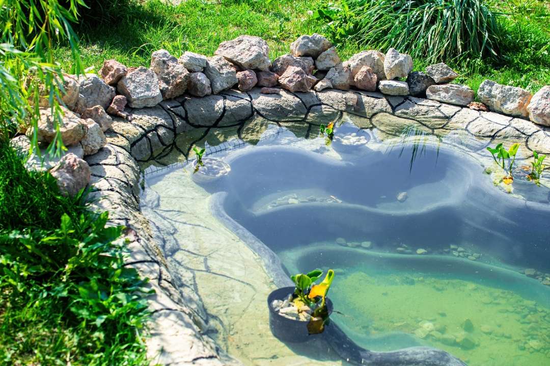 voorgevormde vijver natuurlijke vorm - tuincenter Vincent Dendermonde