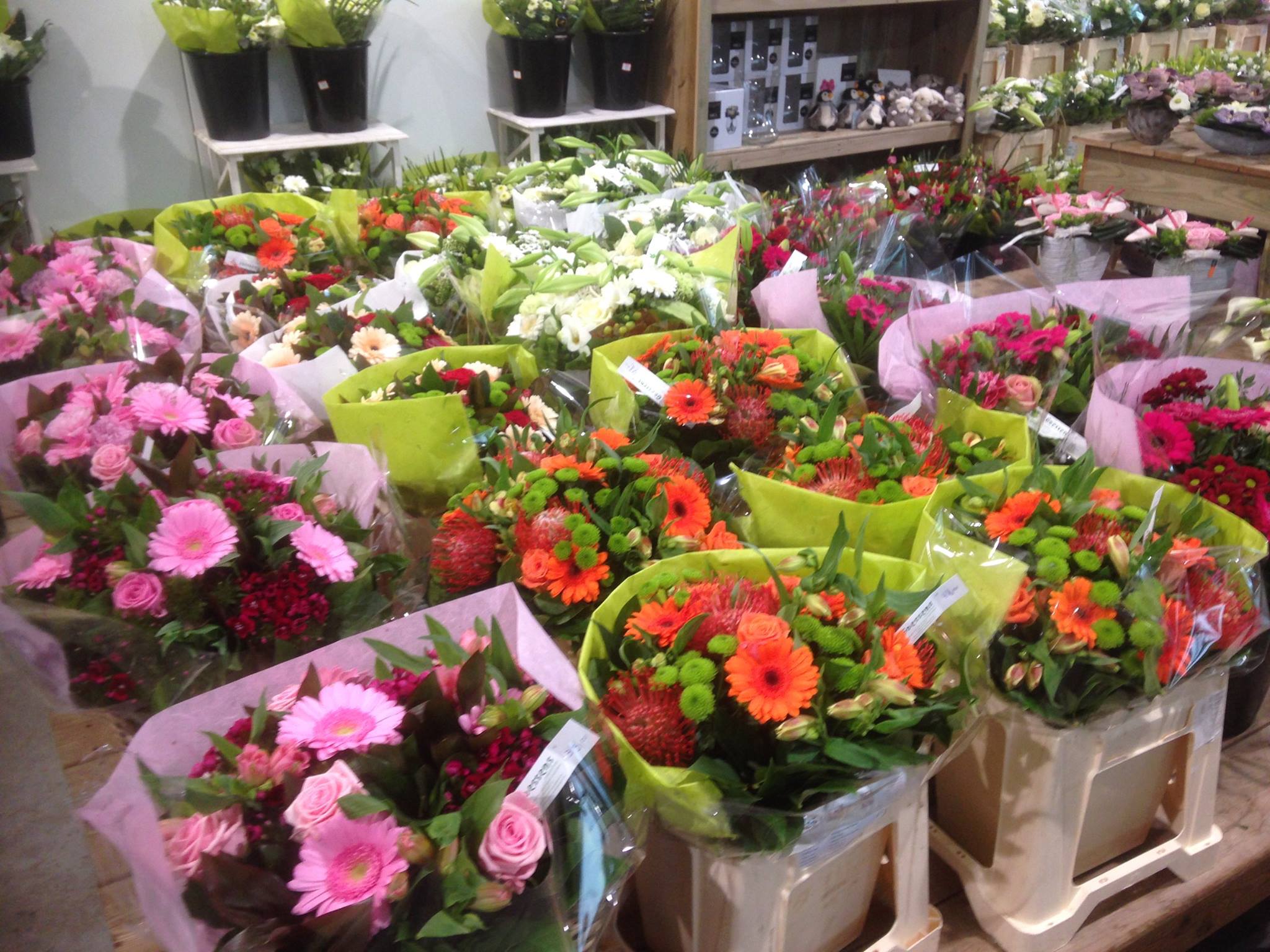 Oplossen lezing Bevestiging Bloemen kopen in de buurt van Wetteren?