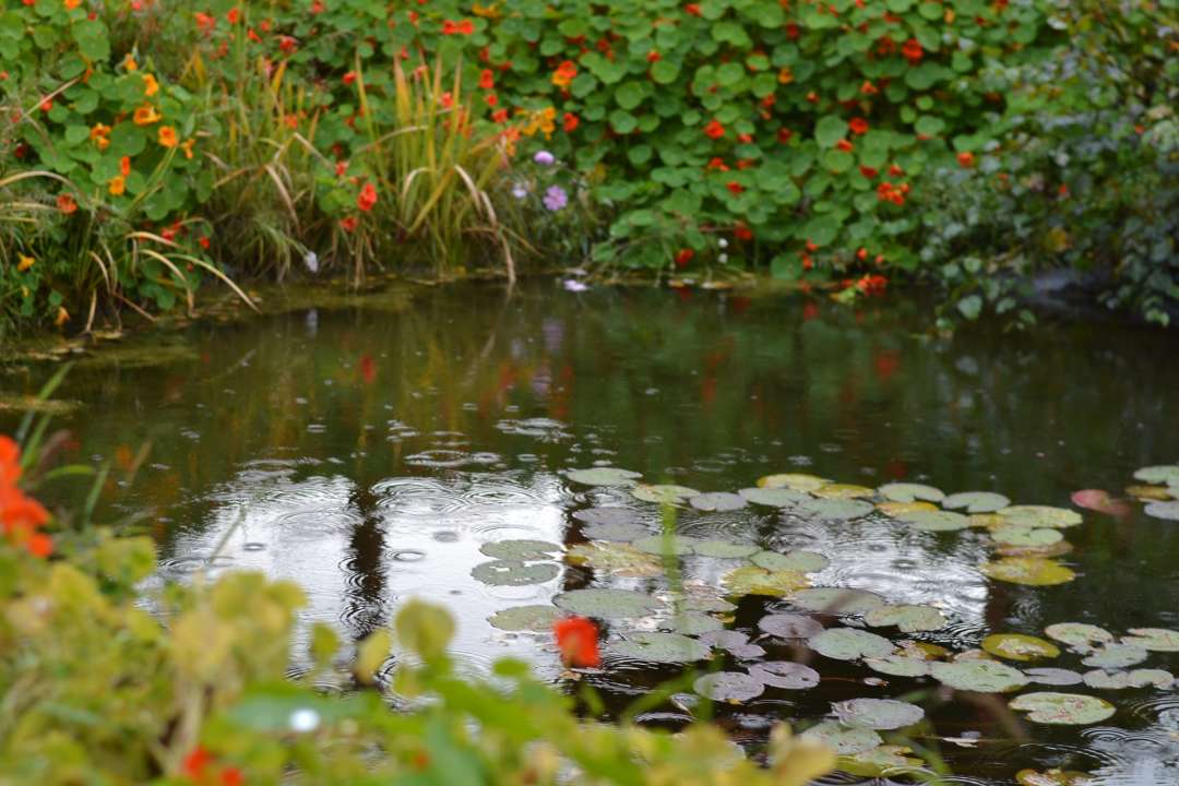 Vijveronderhoud in nat seizoen