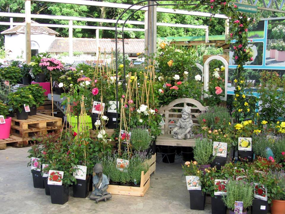 Tuincentrum Vincent Tuincentrum Vincent dichtbij Aalst