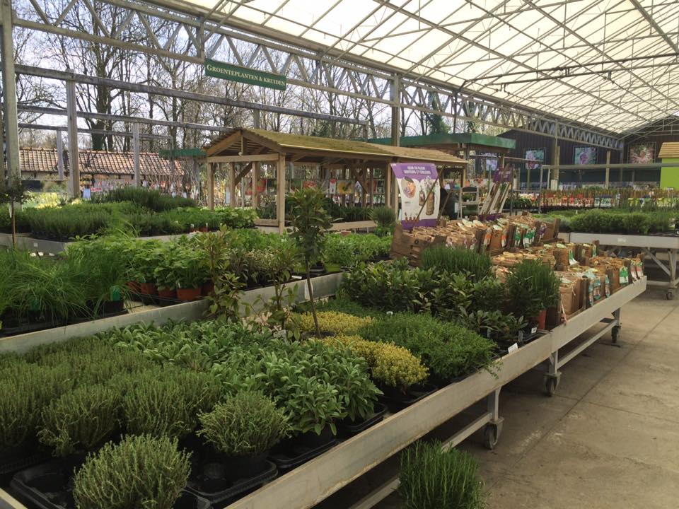 Prachtige vaste planten bij ons tuincentrum nabij Wetteren