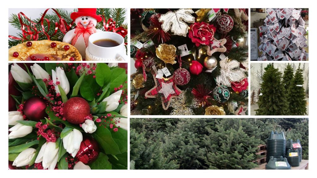 Kerstassortiment Tuincenter Vincent | Tuincenter-Vincent.be