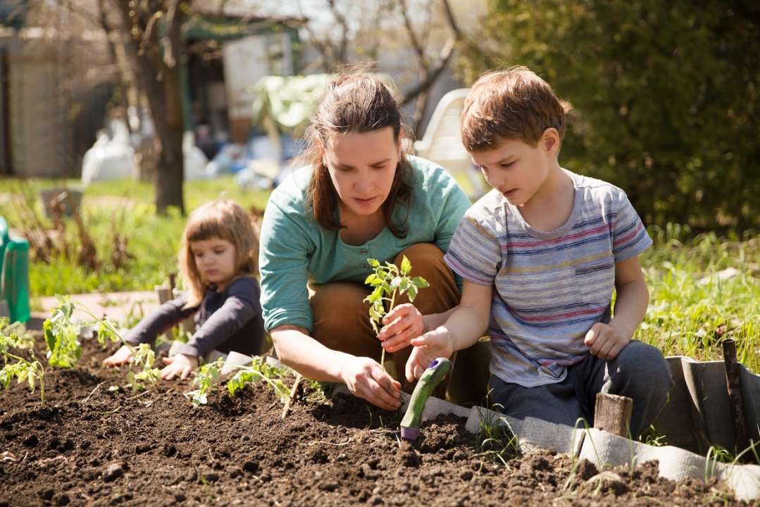 duurzam tuinieren moestuin aanleggen