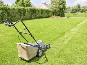 Gazononderhoud Gazononderhoud