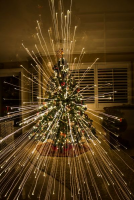 Hoeveel kerstlampjes moeten er in de kerstboom?