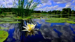 Vijveradvies-weekend 25-26/05
