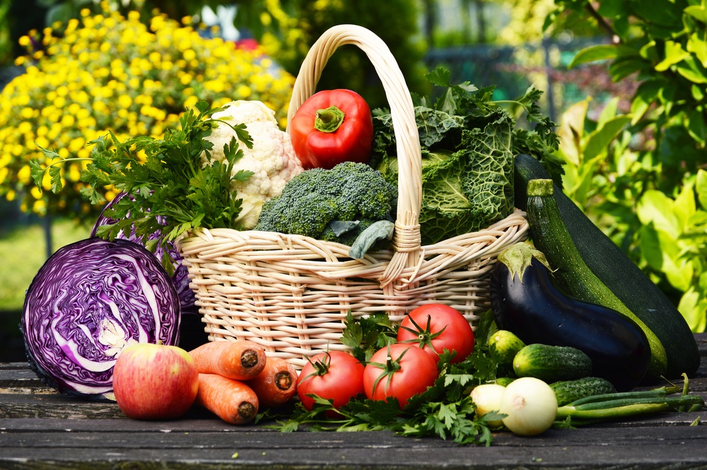 moestuin-tuincentrum-vincent-dendermonde