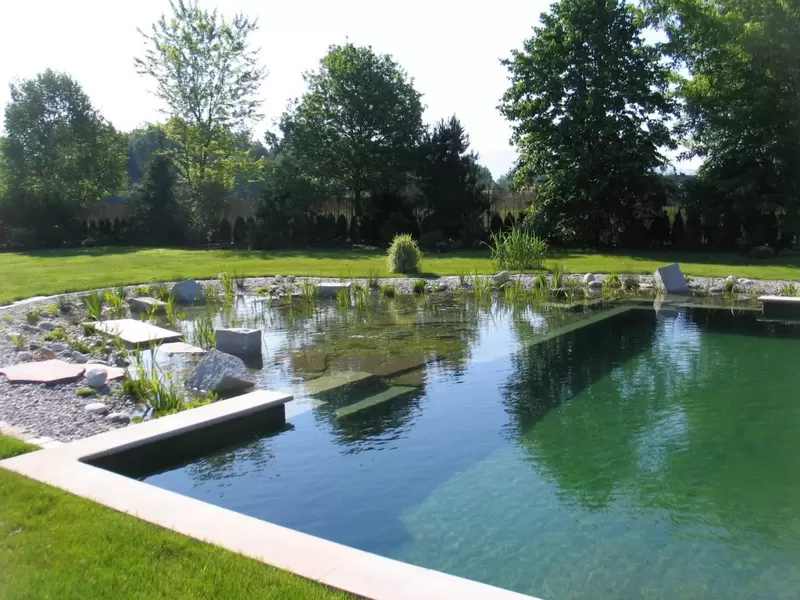 van nu af aan Lach breedtegraad een natuurlijke (zwem)vijver - Tuincenter Vincent