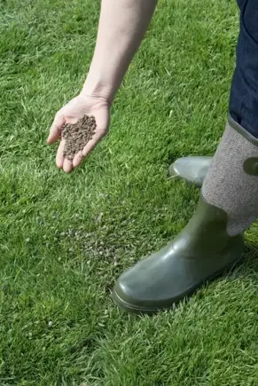 gazon bemesting in het najaar