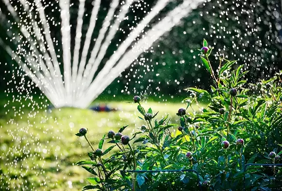 Slim water geven en watermanagement in de tuin