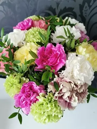 Snijbloem van de maand november: Dianthus