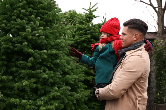 Tips voor het kiezen van de juiste kerstboom