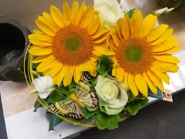Zomer bij Vincent!