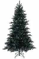 Berlin fir H180 - image 2