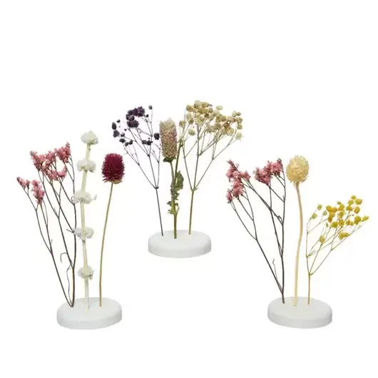 DIY - pakket  - Droogbloemen