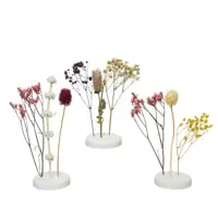 DIY - pakket  - Droogbloemen