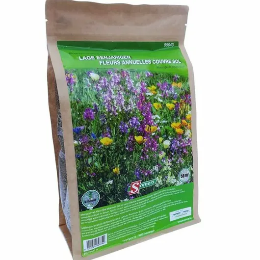 Lage eenjarige bloemen 50m²