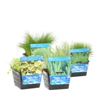 Mix mand zuurstofplanten p18