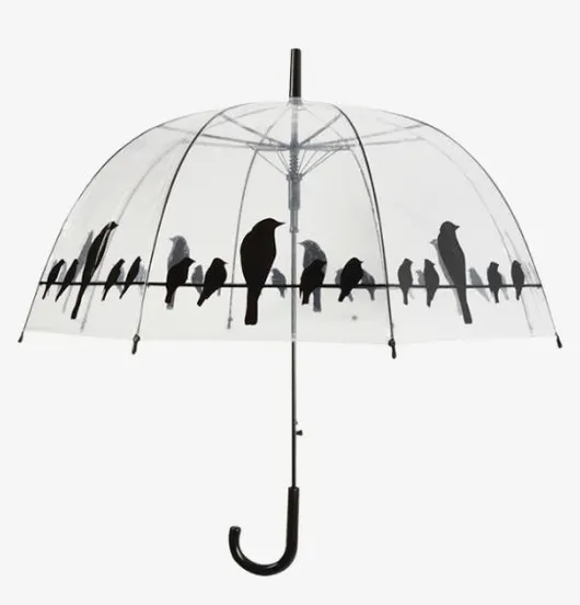 Paraplu transparant vogels op draad