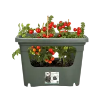 Pot gb stack&grow bladgroen - afbeelding 4