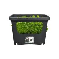 Pot gb stack&grow living black - afbeelding 2