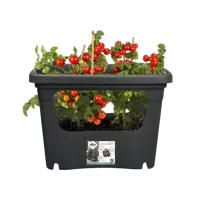 Pot gb stack&grow living black - afbeelding 4