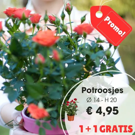 Potroosjes p14