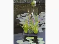 Velda Floating Plant Oasis - afbeelding 2