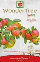 Wonder tree Malus dam. Delcorf - laagstam handappel - afbeelding 3