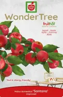 Wonder tree Malus dom. 'Santana' - laagstam handappel - afbeelding 3