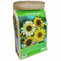 Zonnebloem music box 50m²